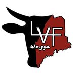 Lake View Farm-Kurt Gordon - @lakeviewfarm_wagyu - Instagram