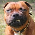 Kurt Hager - @hagerkurt - Instagram