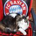 Kurt Haller - Facebook