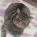 Kurt Hulverson - Facebook
