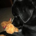 Kurt Hardin - @hardinkurt - Instagram