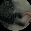 KurtHardinZE - @kurthardinze - TikTok