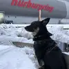 Kurt Hoffmann - @kurt.hoffmann6 - TikTok