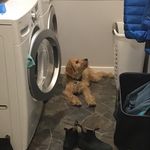 Kurt Holley - @holleykurt - Instagram