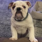 Kurt Howell - Facebook