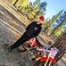 Kaden Hoyer - Facebook