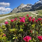 Kurt Huber - @kurt.huber.5876 - Instagram