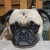 Kurt Huffman - Facebook