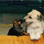 Kurt Tschuffer - @kurt.tschuffer - Instagram