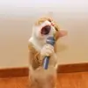KurtIngram - @kurtingram6 - TikTok