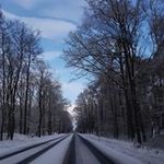 Kurt Janßen - @janssen_kurt - Instagram