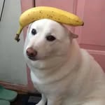 Kurt Ethan Keansky - @kurt._.keansky - Instagram