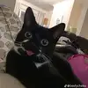 Kurt - @kurtkeithh - TikTok
