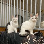Kurt and Kent - @lifeofkurtandkent - Instagram