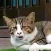 Kurt? - @kurtkentkiya0999 - TikTok