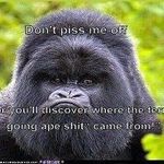 Curt Knapp - @curt.knapp.37 - Instagram