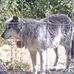 Kurt Knapp - Facebook