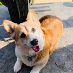 Kurt H. Krug - @kurth.krug - Instagram