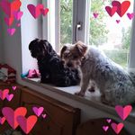 Kurt Krüger - @kurt.kruger.73 - Instagram