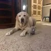 kurtkruger766 - @kurtkruger766 - TikTok