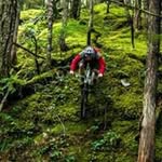 Kurt Lancaster - @lancasterkurt - Instagram