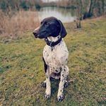 Kurt Langley - @kurt_langerz - Instagram