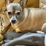 Kurt Langley - @kurtlangley45 - Instagram
