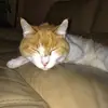 kurtlechner1 - @kurtlechner1 - TikTok