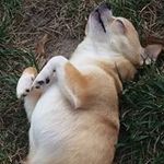 Kurt Leonard - @kurt.leonard - Instagram
