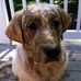Kurt Leone - Facebook