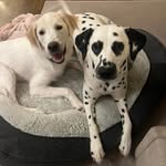 Kurt Malone - @malone.kurt - Instagram
