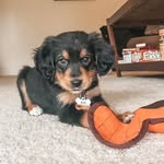 Kurt Malone - @kurtiekurt_ - Instagram