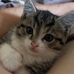 Kurtis Maynard - @kurtis.maynard.1 - Instagram