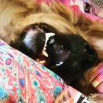 Kurt Messer - @kurtwillammes - Instagram
