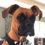Kurt Miner - @stichypantsguy - Instagram