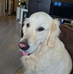 Kurt Moen - Facebook