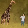 kurtkamoen - @kurtkamoen - TikTok