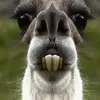 Kurt Monahan - @kurtmonahan - TikTok