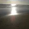 Kurt Nickerson - @kurtnickerson - TikTok