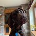 Kurt Nowak - Facebook