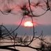 Kurt Nowak - Facebook