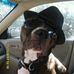 Kurt Nowak - Facebook