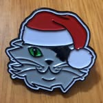 Kurt Opsahl - @piratecatsinc - Instagram