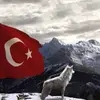 PowerKurt - @powerkurt - TikTok