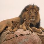 @kurt_prater84 - Instagram