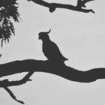 Kurt Pritchard - @kurt_pritchard_photography - Instagram