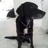 kurtriederer - @kurtriederer - TikTok