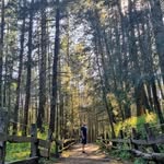 Kurt - @kurtritter - Instagram