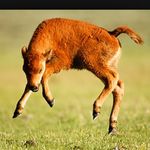 Kurt Ritter - @ritter_kurt - Instagram
