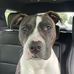 Kurt Ritter - Facebook